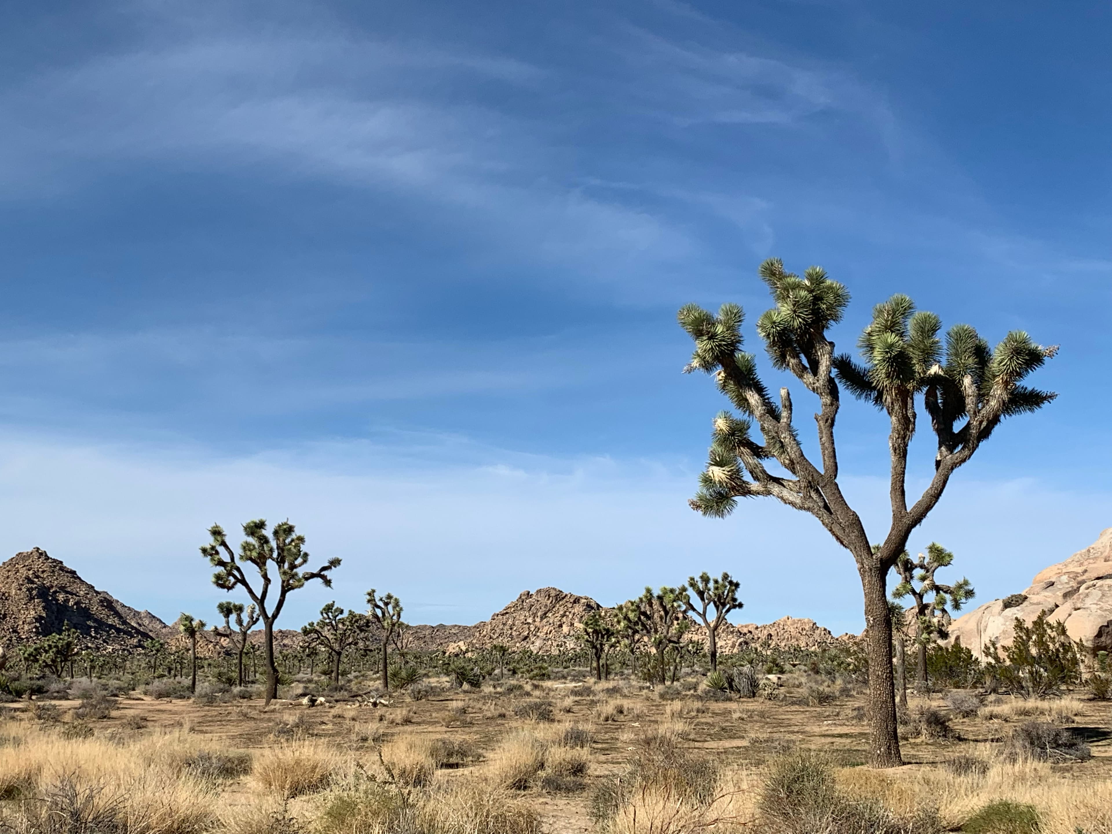 Alabama Hills, CA